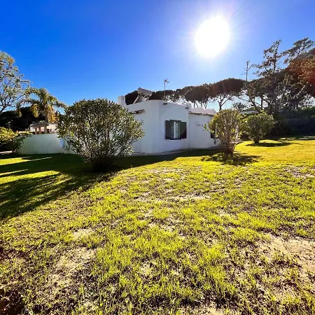 Amazing - Villaanas Balaia